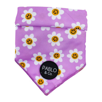 Lilac Smiley Flowers Bandana