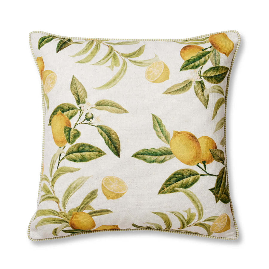 Citrus Cushion