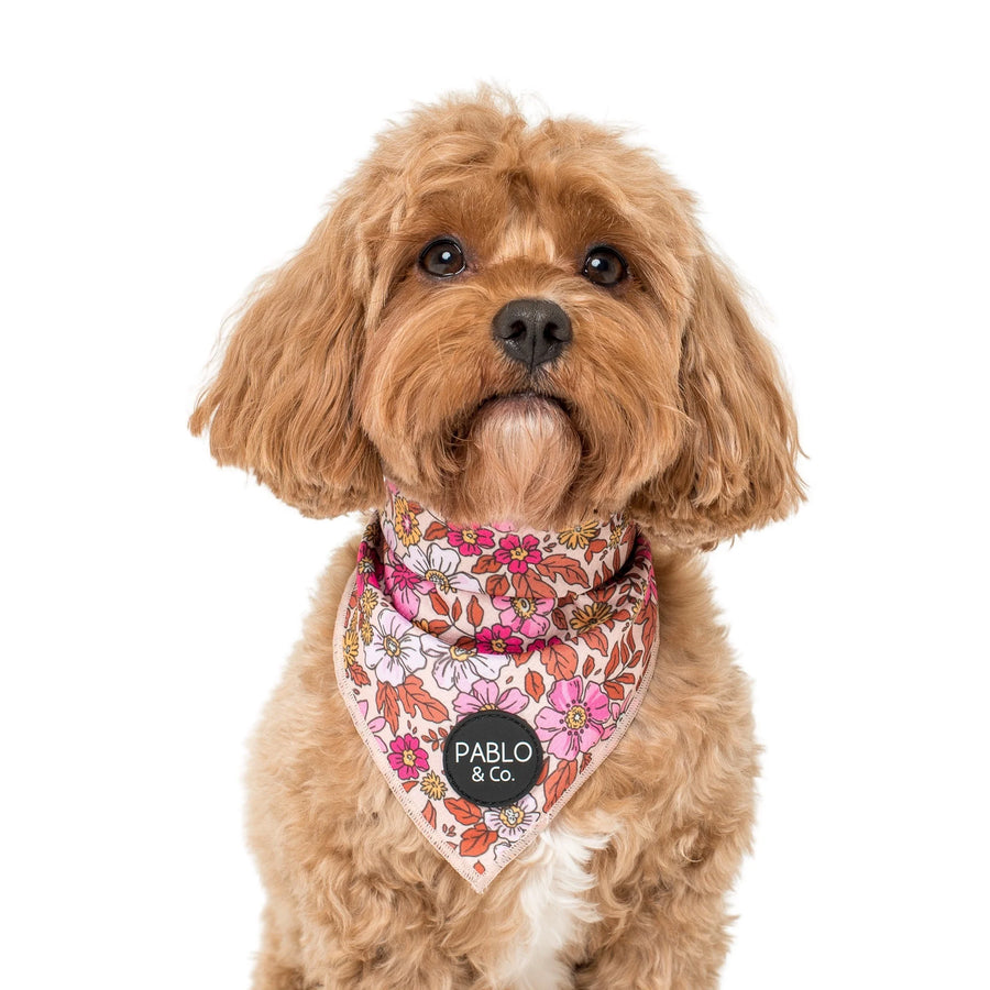 Pink Posies Bandana