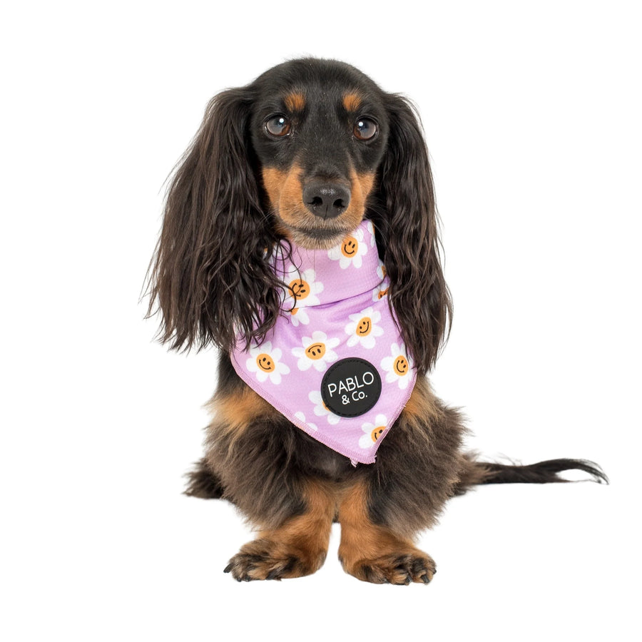 Lilac Smiley Flowers Bandana