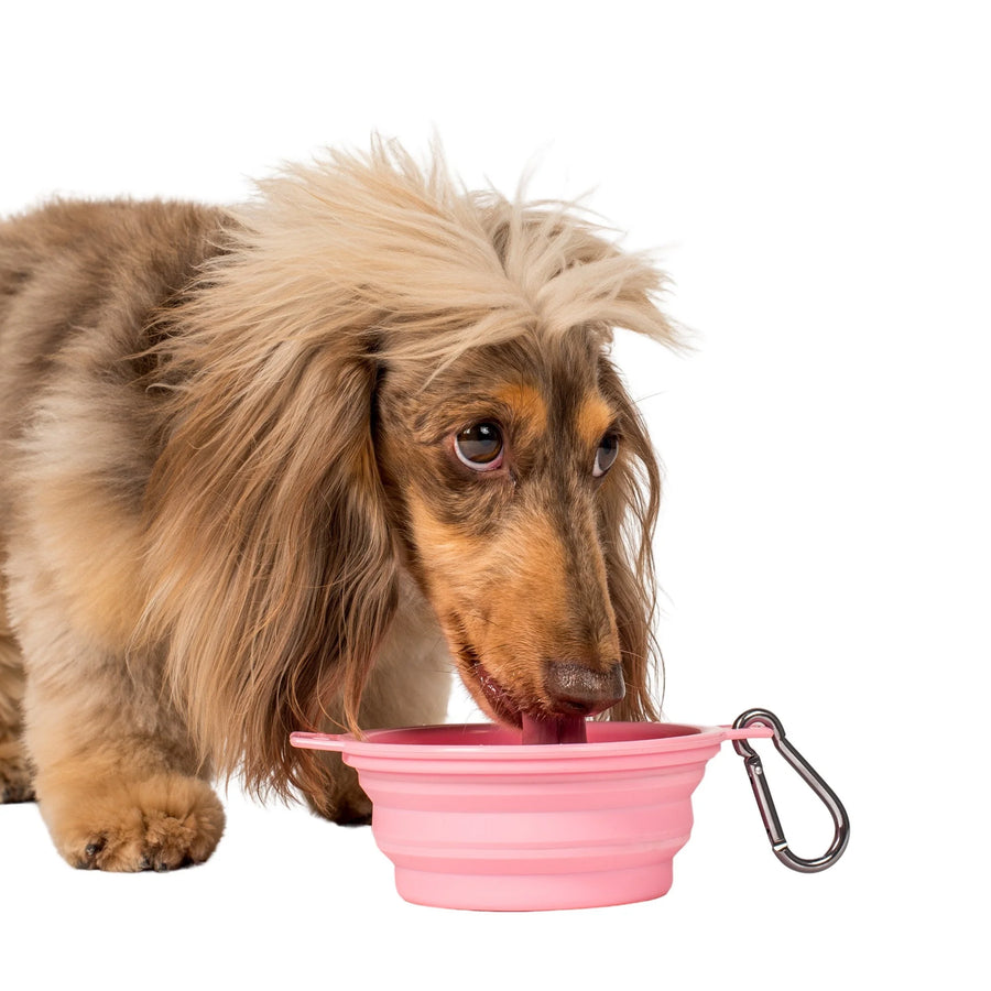 Collapsible Dog Water/Food Bowl - Bubblegum